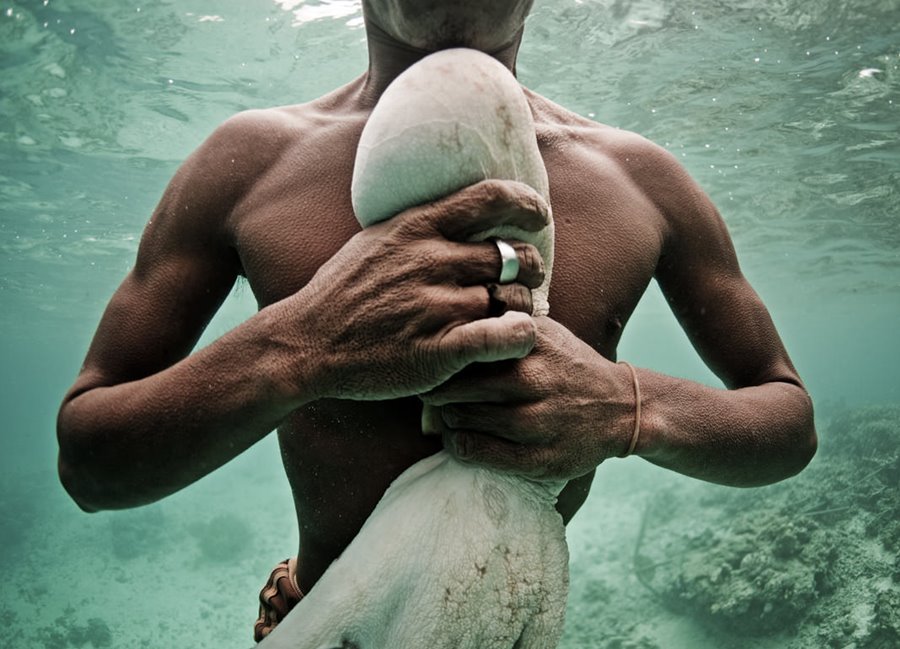 Jatmin surfacing with an octopus. The spearguns the Bajau often carry are handy for rooting the creatures from the holes in which they hide. Sulawesi, Indonesia.