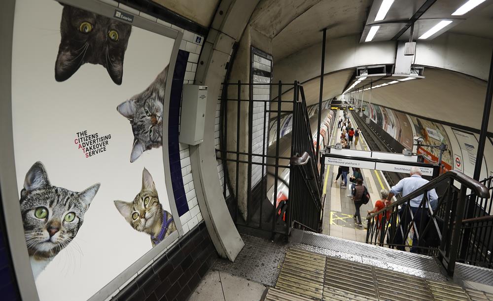 KK16 Londýn - Na snímke obrázok s maèkami na stanici metra Clapham Common v Londýne 13. septembra 2016. Za nápadom vymeni reklamy za obrázky s maèkami stojí obèianske zdruenie Citizens Advertising Takeover Service (CATS). Financie na prenájom vetkých reklamných plôch sa vyzbierali prostredníctvom crowdfundingovej sluby Kickstarter. Na 23 000 britských libier (27 000 eur) sa zloilo takmer 700 ¾udí. FOTO TASR/AP A poster featuring cats, on display, at the Clapham Common Tube station in London, Tuesday, Sept. 13, 2016. Cat lovers in need of a pick-me-up may start gravitating toward Londonâs Clapham Common Tube station. All of the stationâs customary advertisements have been taken down, replaced by 68 oversized portraits of rather adorable cats. (AP Photo/Frank Augstein)