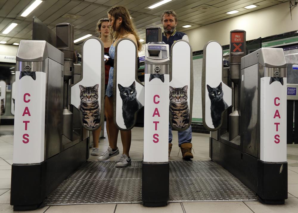 KK18 Londýn - Na snímke cestujúci prechádzajú cez bariéry s obrázkami maèiek na stanici metra Clapham Common v Londýne 13. septembra 2016. Za nápadom vymeni reklamy za obrázky s maèkami stojí obèianske zdruenie Citizens Advertising Takeover Service (CATS). Financie na prenájom vetkých reklamných plôch sa vyzbierali prostredníctvom crowdfundingovej sluby Kickstarter. Na 23 000 britských libier (27 000 eur) sa zloilo takmer 700 ¾udí. FOTO TASR/AP People approach the barriers which feature portraits of cats, at the Clapham Common Tube station in London, Tuesday, Sept. 13, 2016. Cat lovers in need of a pick-me-up may start gravitating toward Londonâs Clapham Common Tube station. All of the stationâs customary advertisements have been taken down, replaced by 68 oversized portraits of rather adorable cats. (AP Photo/Frank Augstein)