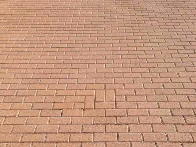 ocd2
