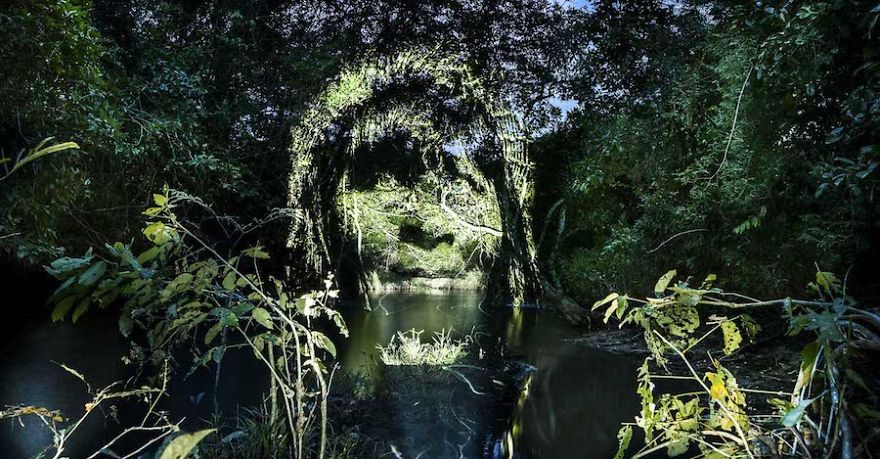 amazonia-street-art3