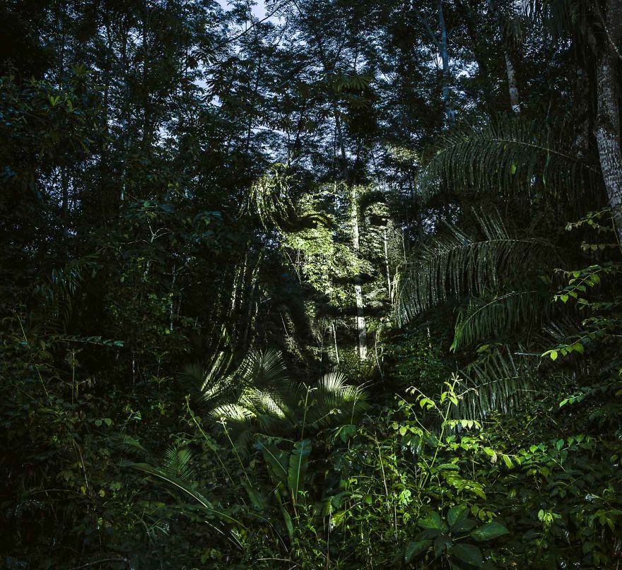 amazonia-street-art5