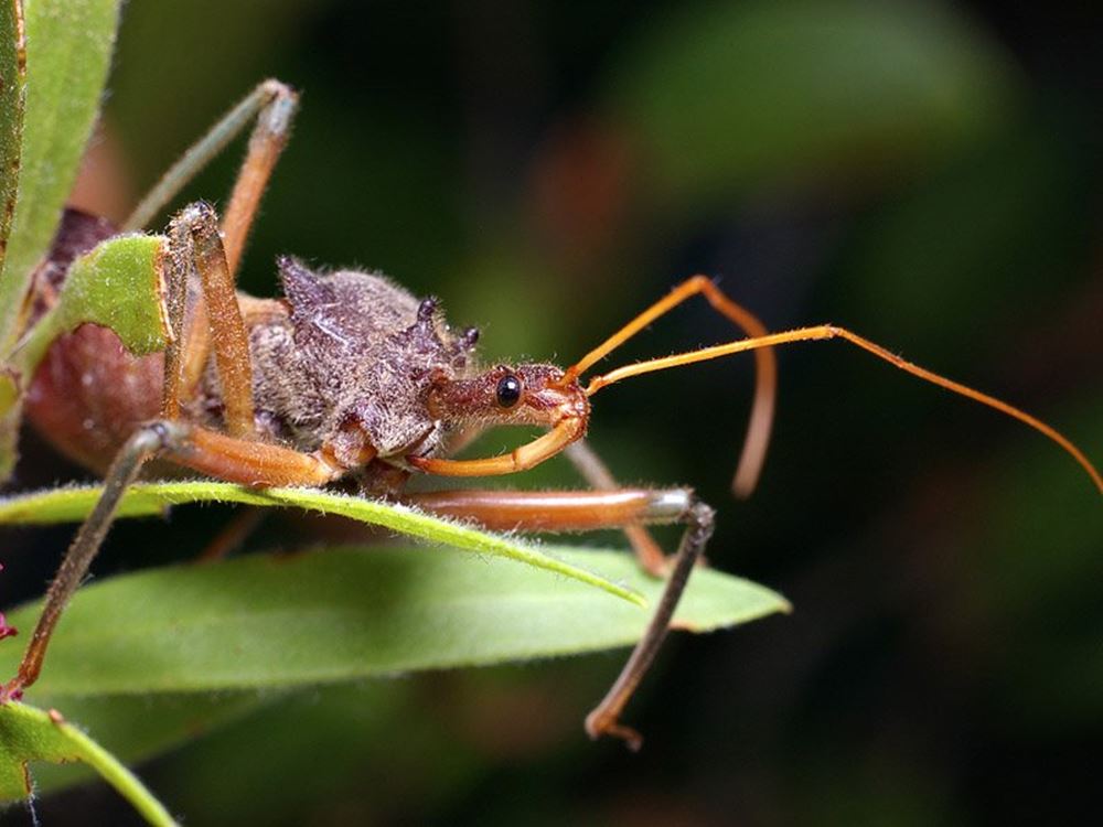 http://www.sciencealert.com/these-are-the-world-s-15-deadliest-animals