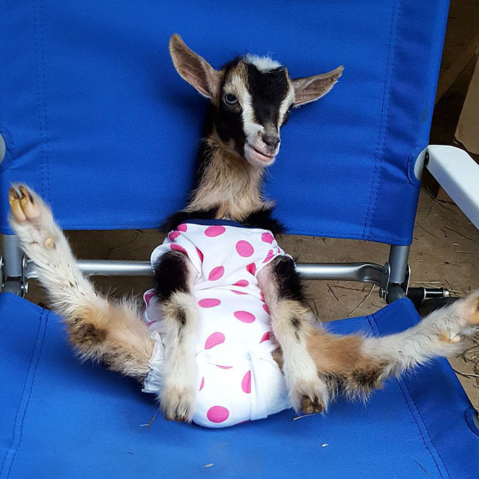 Boredpanda