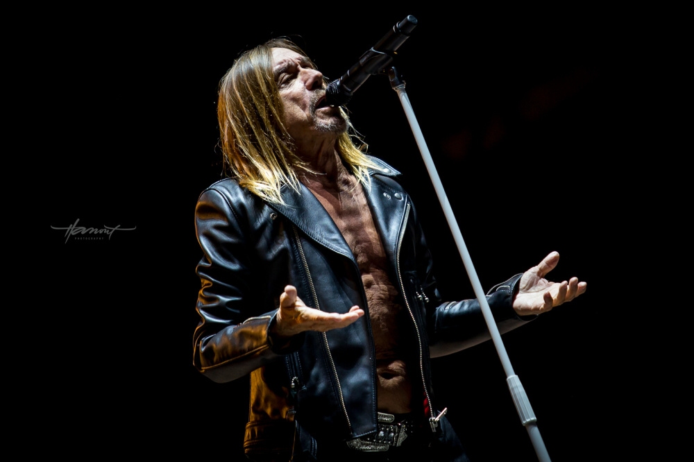 16_Iggy-Pop-@-Rock-In-Vienna-2016-©-Zdenko-Hanout