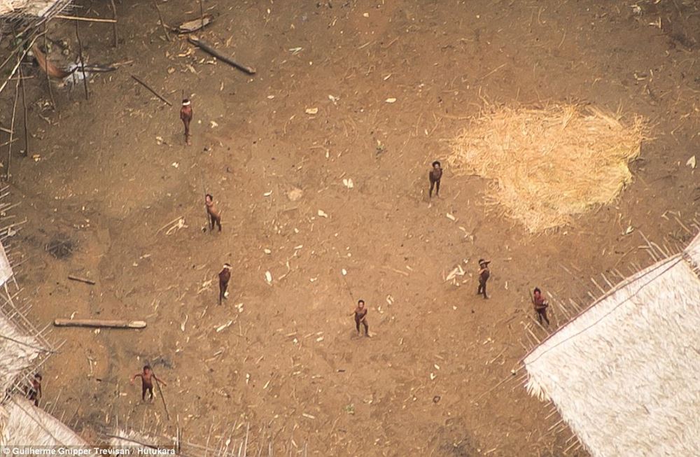 http://www.dailymail.co.uk/news/article-3946254/The-incredible-moment-Amazon-tribe-untouched-civilization-stare-wonder-photographer-s-plane-flying-them.html?ito=social-facebook
