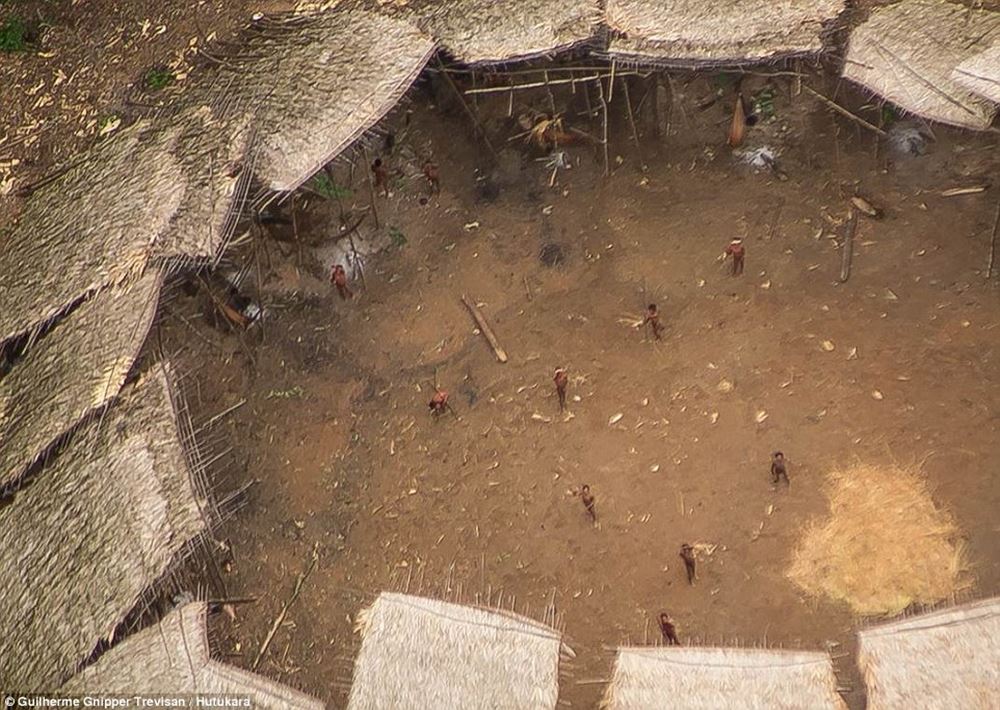 http://www.dailymail.co.uk/news/article-3946254/The-incredible-moment-Amazon-tribe-untouched-civilization-stare-wonder-photographer-s-plane-flying-them.html?ito=social-facebook