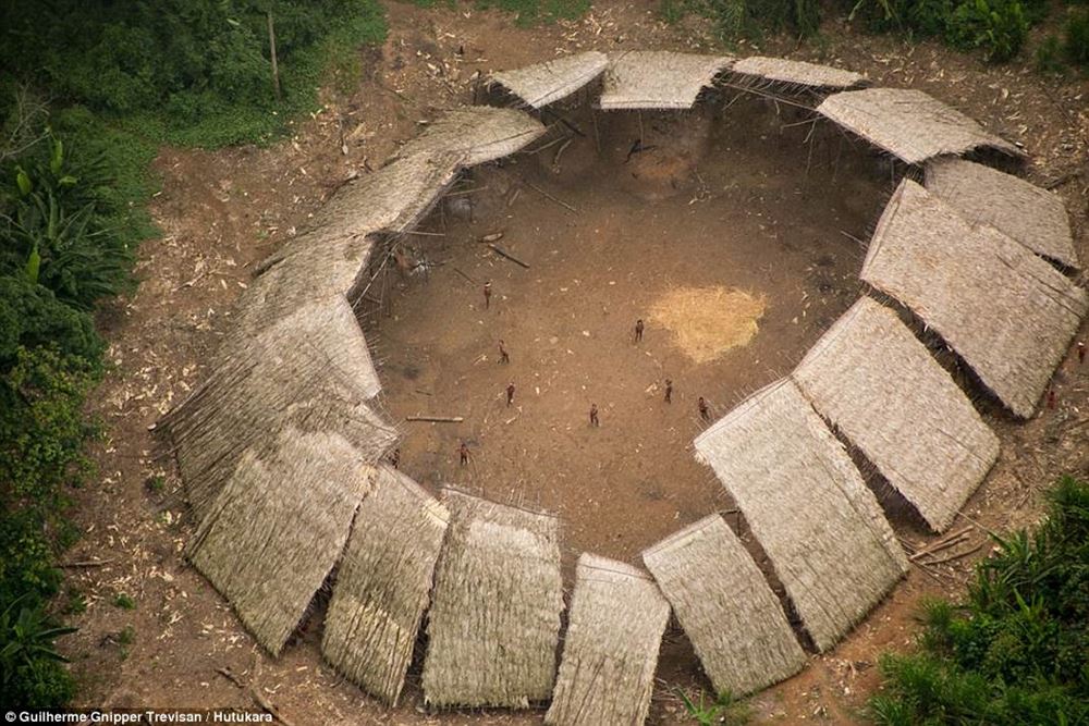 http://www.dailymail.co.uk/news/article-3946254/The-incredible-moment-Amazon-tribe-untouched-civilization-stare-wonder-photographer-s-plane-flying-them.html?ito=social-facebook