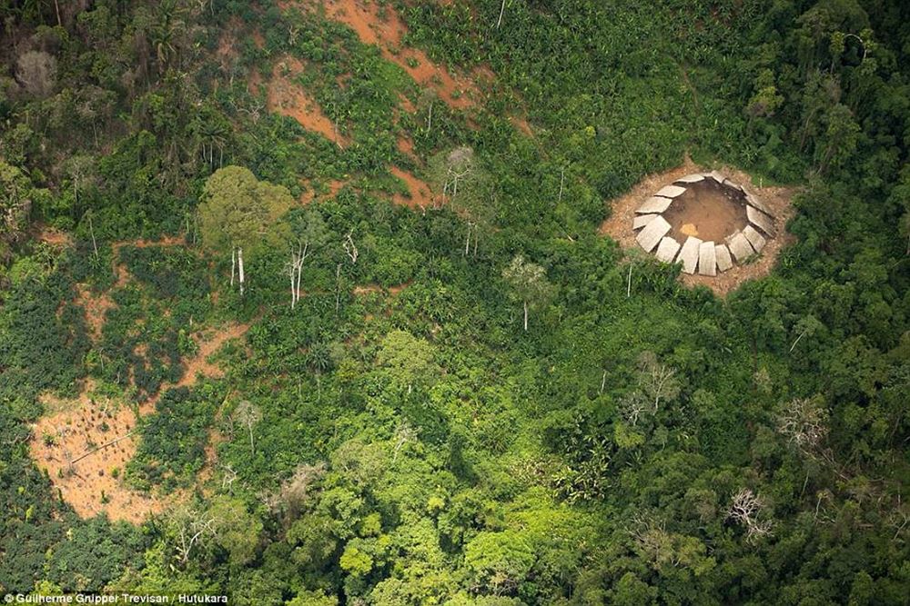 http://www.dailymail.co.uk/news/article-3946254/The-incredible-moment-Amazon-tribe-untouched-civilization-stare-wonder-photographer-s-plane-flying-them.html?ito=social-facebook