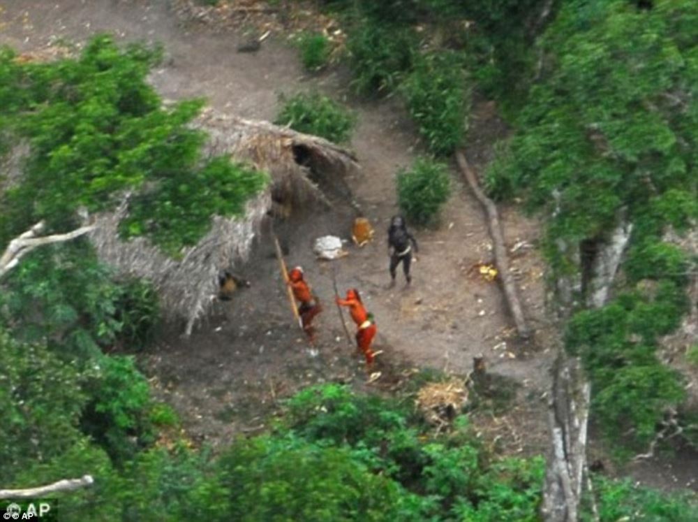 http://www.dailymail.co.uk/news/article-3946254/The-incredible-moment-Amazon-tribe-untouched-civilization-stare-wonder-photographer-s-plane-flying-them.html?ito=social-facebook