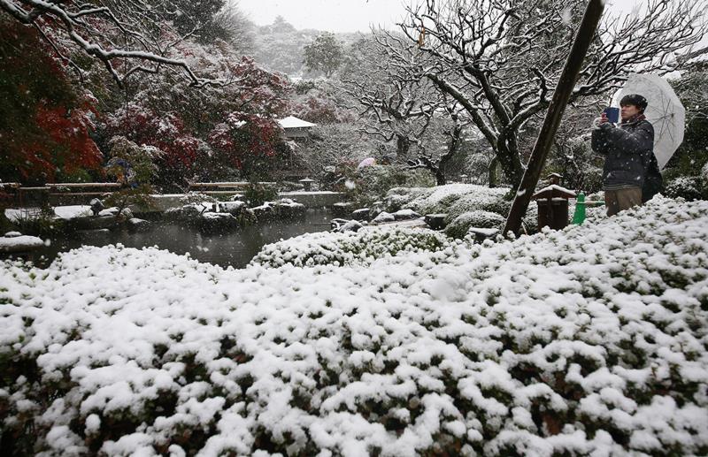 EBE 16 Kamakura - Na snímke návtevník fotografuje sneh v chráme v japonskom meste Kamakura neïaleko Tokia 24. novembra 2016. Obyvatelia japonského hlavného mesta Tokio sa dnes ráno zobudili do prvého novembrového sneenia za posledných vye 50 rokov. FOTO TASR/AP A visitor takes a photo in the snow at the Hase temple in Kamakura, near Tokyo, Thursday, Nov. 24, 2016. Tokyo residents woke up Thursday to the first November snowfall in more than 50 years. (AP Photo/Shizuo Kambayashi)