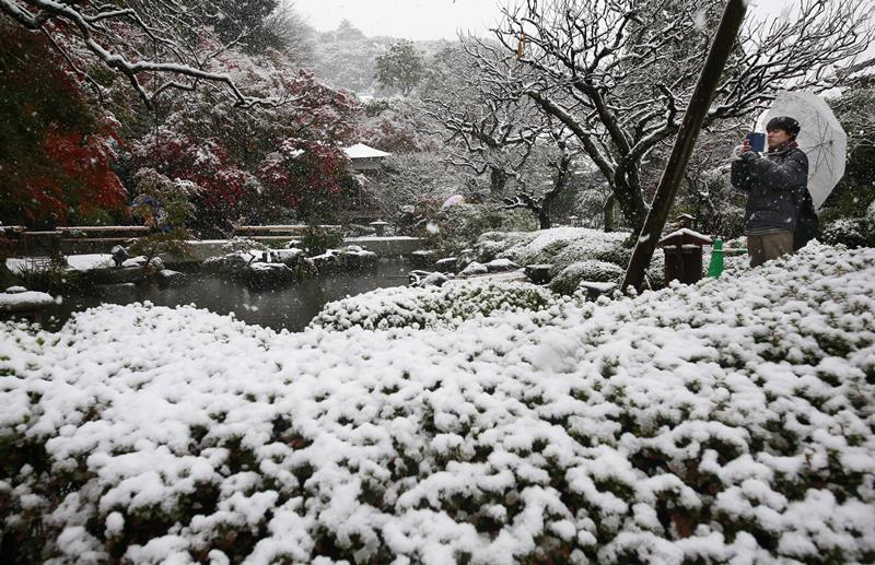 EBE 16 Kamakura - Na snímke návtevník fotografuje sneh v chráme v japonskom meste Kamakura neïaleko Tokia 24. novembra 2016. Obyvatelia japonského hlavného mesta Tokio sa dnes ráno zobudili do prvého novembrového sneenia za posledných vye 50 rokov. FOTO TASR/AP A visitor takes a photo in the snow at the Hase temple in Kamakura, near Tokyo, Thursday, Nov. 24, 2016. Tokyo residents woke up Thursday to the first November snowfall in more than 50 years. (AP Photo/Shizuo Kambayashi)