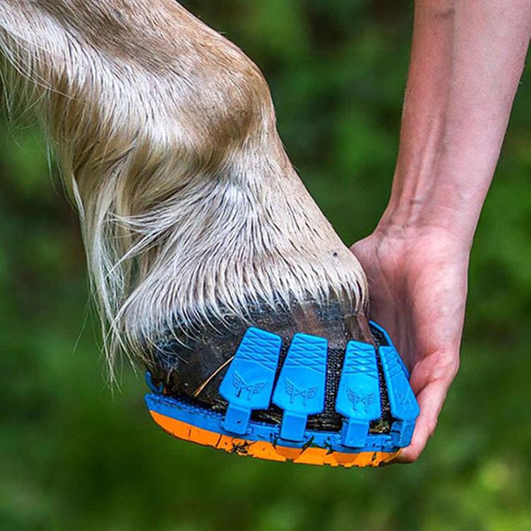 horse-shoes