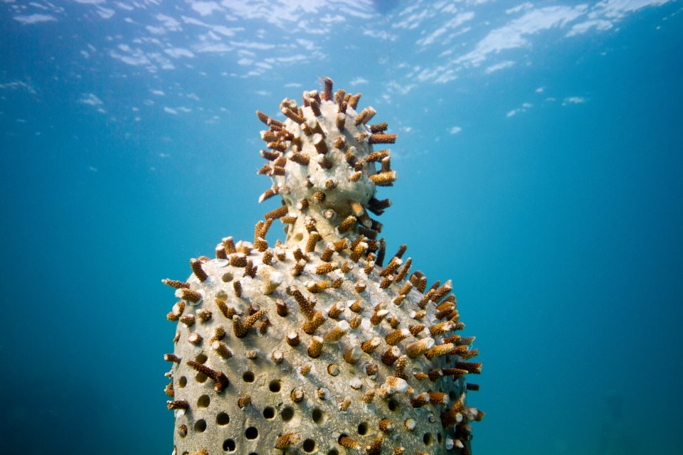 www.underwatersculpture.com