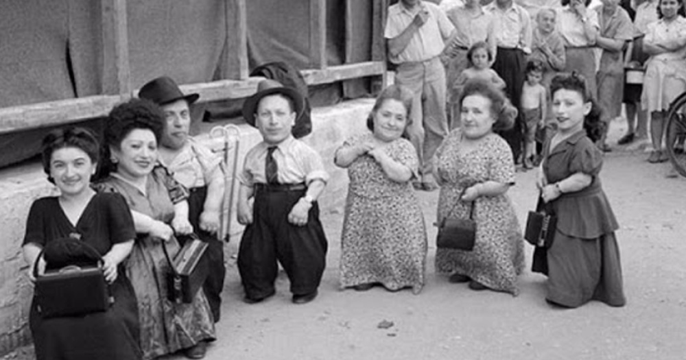 Sedem trpaslíkov z Auschwitzu: Príbeh rodiny liliputánov, ktorá prežila Mengeleho šialené pokusy thumbnail