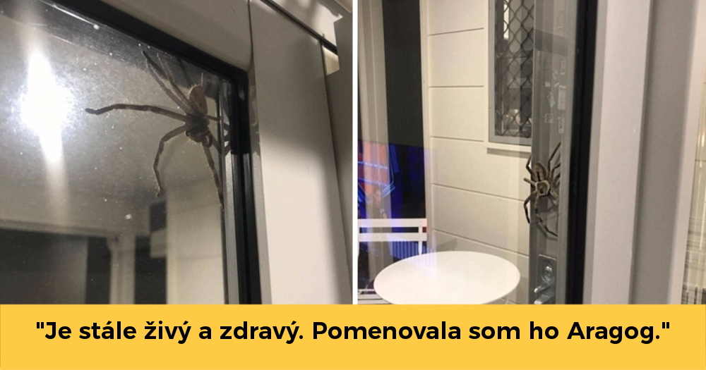 Pozri aj tento článok