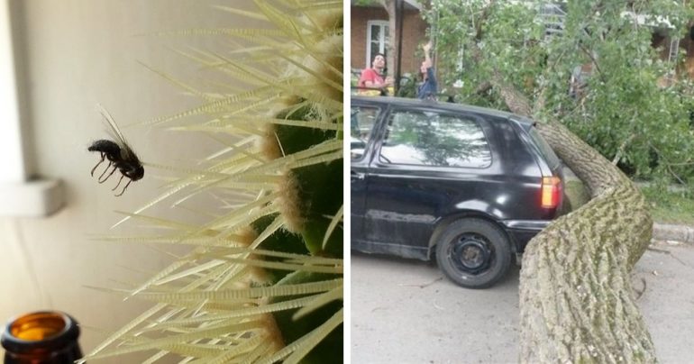 what-are-the-odds-rare-things-coincidences-fb9-770x404
