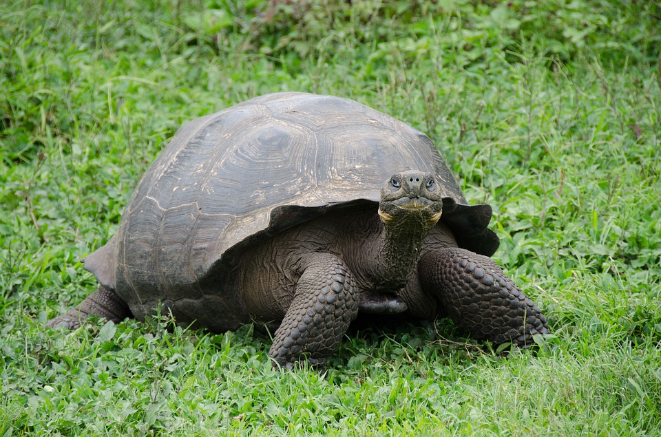 Pozri aj tento článok