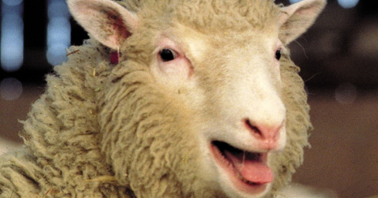 Dolly prv  naklonovan  ovca na svete sa narodila pred 22 