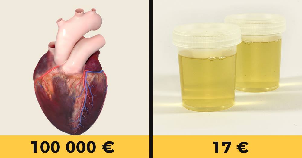 Pozri aj tento článok