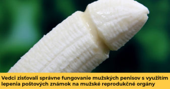 Pozri aj tento článok