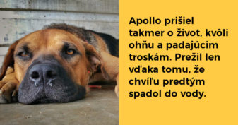 Pozri aj tento článok
