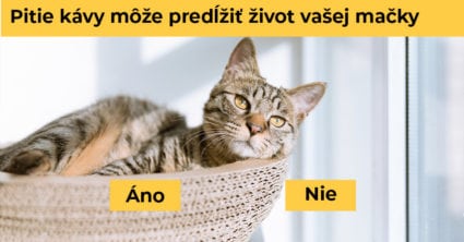 Pozri aj tento článok