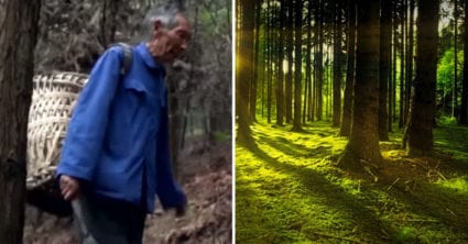 Pozri aj tento článok