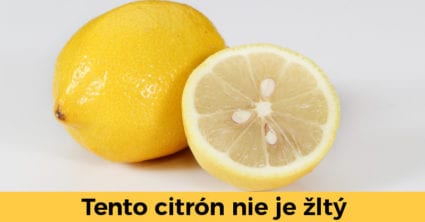 Pozri aj tento článok