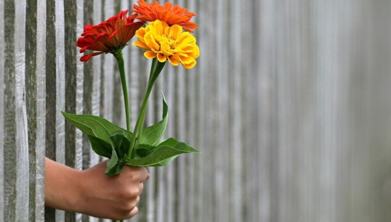 hand-1549399_1280-770x439