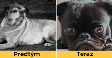 Pozri aj tento článok