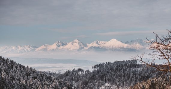 Pohľad na Vysoké Tatry