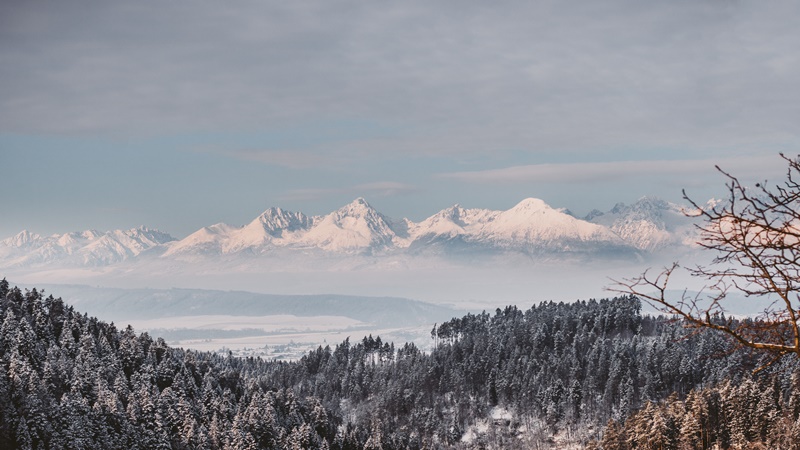 Pohľad na Vysoké Tatry