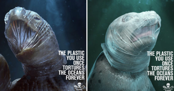 Plasty zabíjajú zvieratá v oceánoch