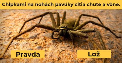 Pozri aj tento článok