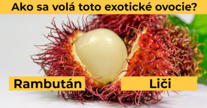 Pozri aj tento článok