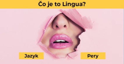 Pozri aj tento článok