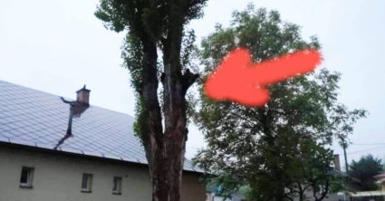 Pozri aj tento článok