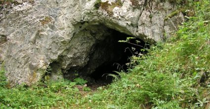 Pozri aj tento článok