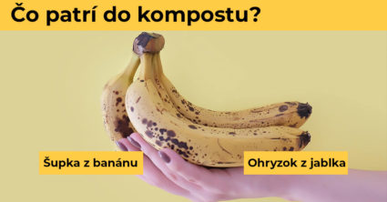 Pozri aj tento článok