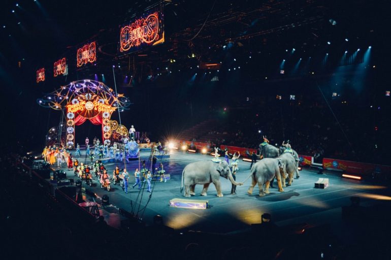 Slony v cirkuse