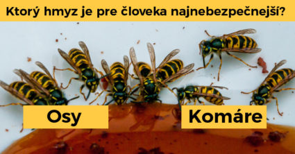 Pozri aj tento článok