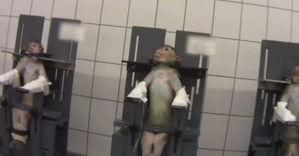 Pozri aj tento článok