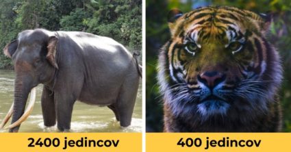 Pozri aj tento článok