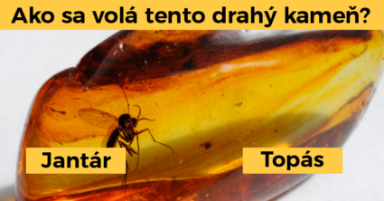 Pozri aj tento článok