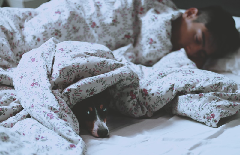 claudia-manas-nvow94yhp2g-unsplash