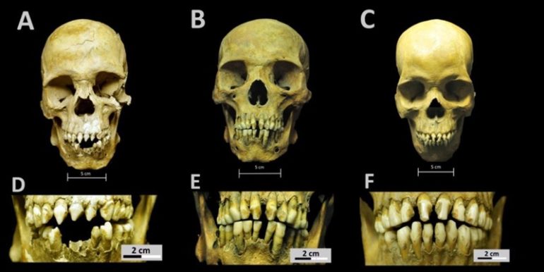 skulls1-770x386