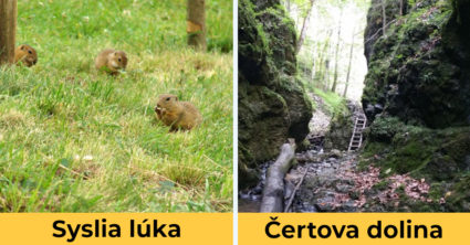 Pozri aj tento článok