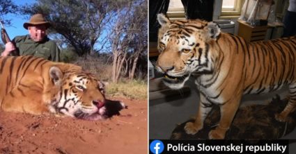 Pozri aj tento článok