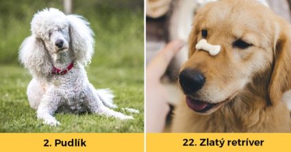 Pozri aj tento článok